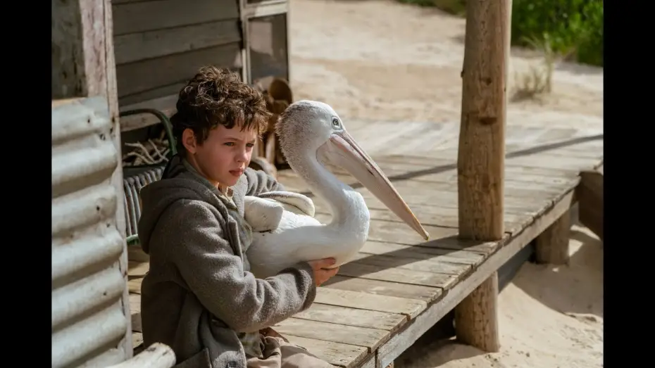 Відео до фільму Мій друг містер Персіваль — STORM BOY - Bande Annonce VF