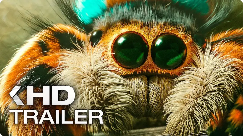 Відео до фільму Комашки 2. Карибські пригоди! | DIE WINZLINGE 2 Trailer German Deutsch (2019) Exklusiv