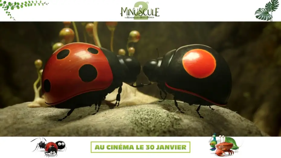 Відео до фільму Комашки 2. Карибські пригоди! | MINUSCULE 2 - Teaser VF