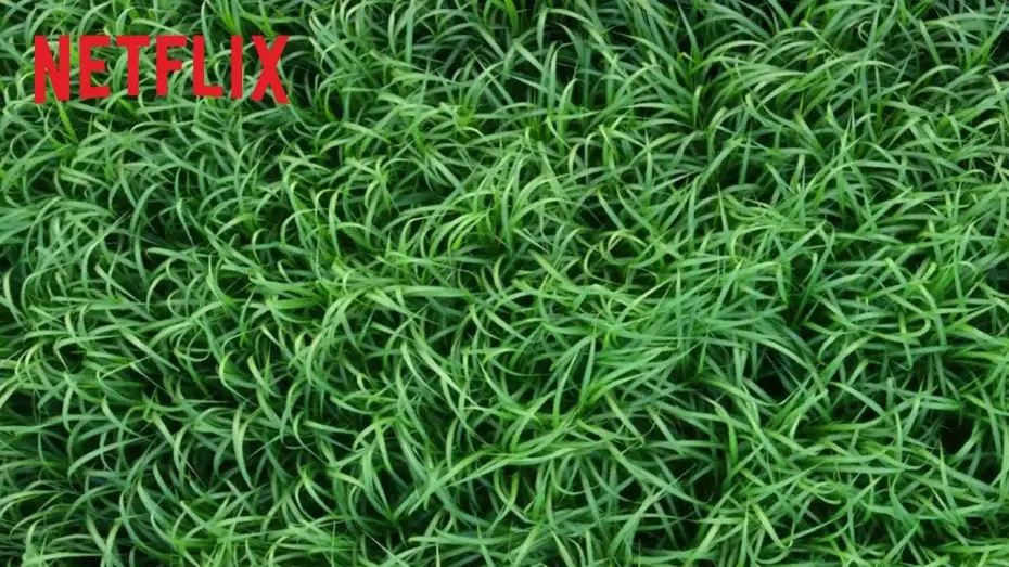 Відео до фільму У високій траві — Nell'erba alta | Trailer ufficiale | Netflix Italia