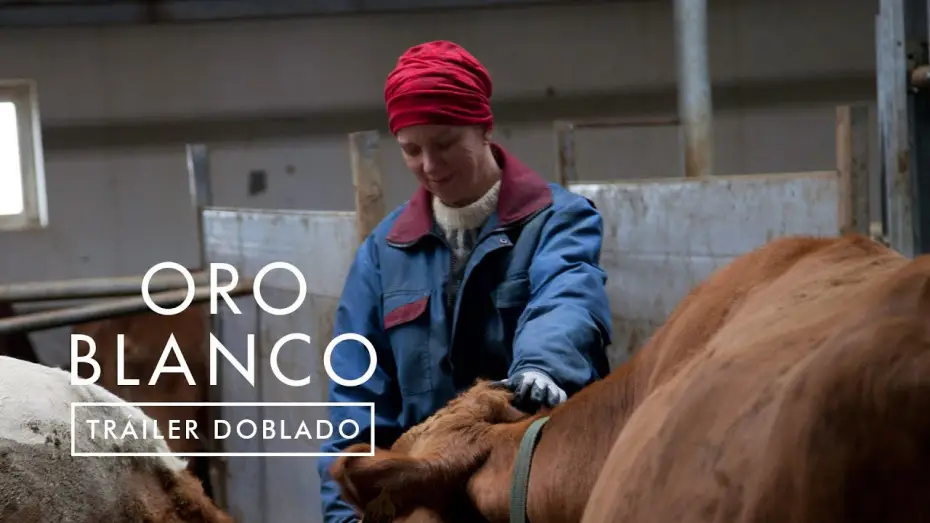 Відео до фільму Héraðið — ORO BLANCO | Tráiler Oficial Español