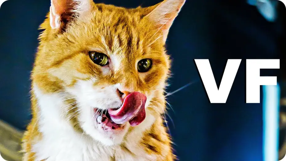 Відео до фільму Домовой — MON CHAT L'ELFE MALICIEUX ET MOI Bande Annonce VF (2020)