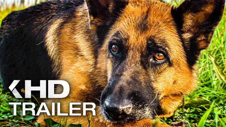 Відео до фільму Пальма — EIN HUND NAMENS PALMA Trailer German Deutsch (2021) Exklusiv