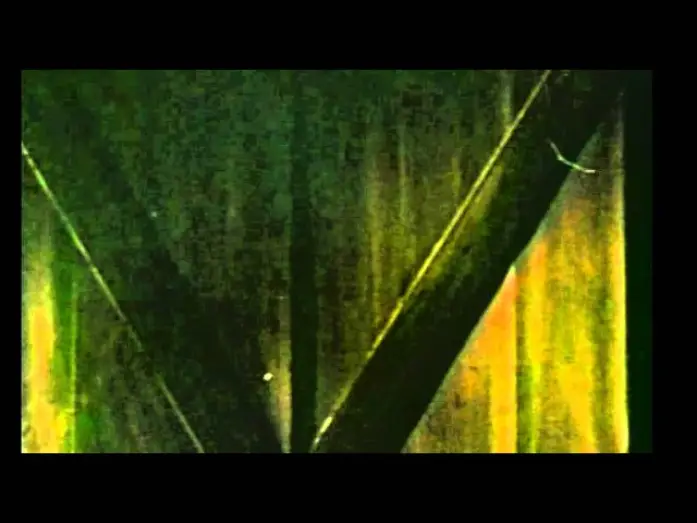 Відео до фільму Day of the Animals — SOMETHING IS OUT THERE (1977) TV Spot