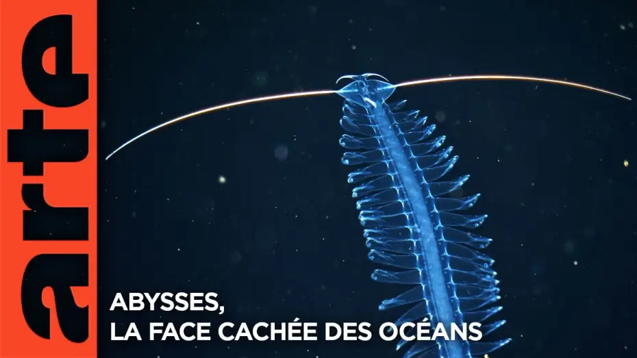 Відео до фільму Abysses, la face cach&eacute;e des oc&eacute;ans | Abysses, la face cach&eacute;e des oc&eacute;ans - Extrait | Documentaire | ARTE