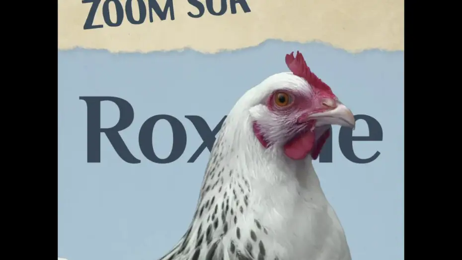 Відео до фільму Roxane — Roxane - avec Guillaume de Tonquédec et Léa Drucker