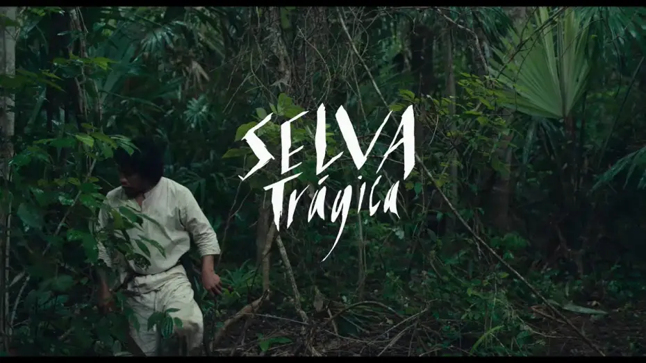 Відео до фільму Трагічні джунглі — #BIFF2020 World Cinema - Tragic Jungle / 월드 시네마 - 비탄의 정글