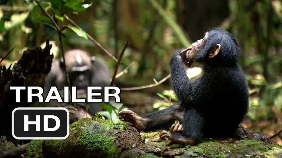 Відео до фільму Шимпанзе — Chimpanzee Official Trailer #1 (2012) Disney Nature Movie HD