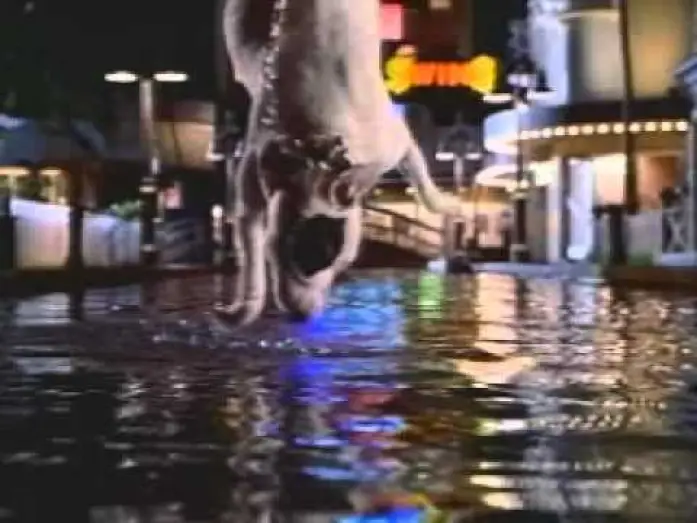 Відео до фільму Бейб: Поросятко у місті | Babe: Pig in the City Trailer (1998)