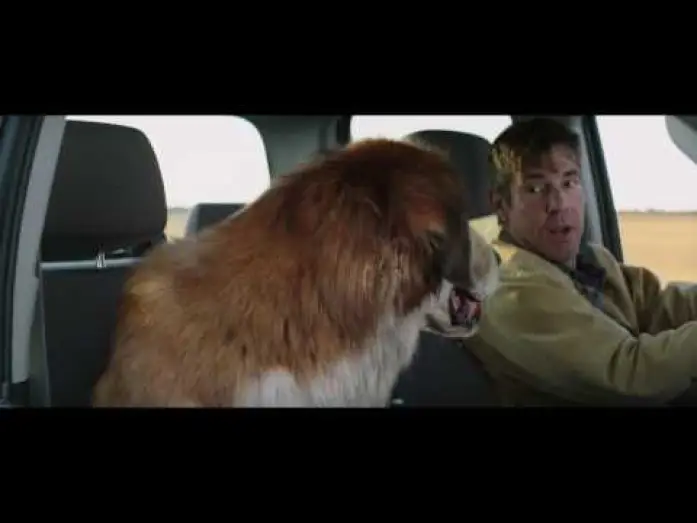 Відео до фільму Життя і мета собаки | MES VIES DE CHIENS - Extrait - "Deux vieux copains" - VF