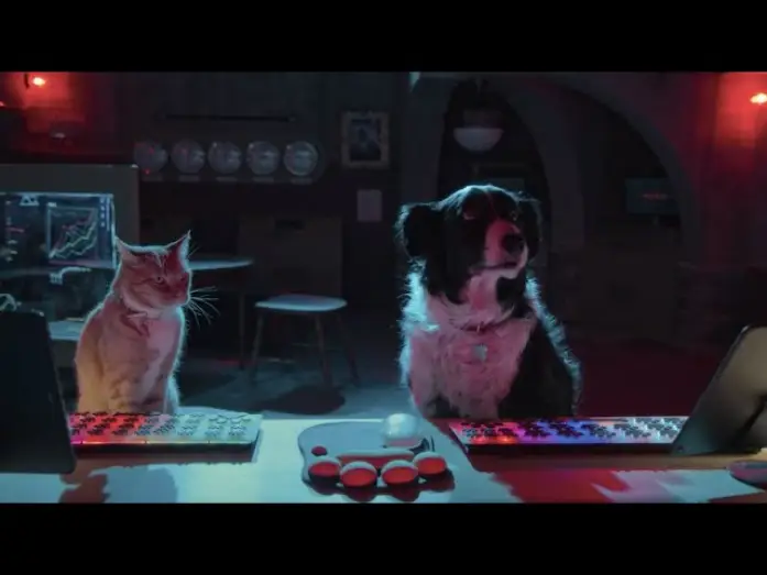 Відео до фільму Кішки проти собак 3: Лапи, об’єднуйтеся — Como Perros y Gatos: La Patrulla Unida – Tráiler Oficial