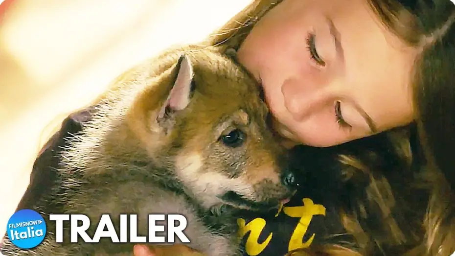 Відео до фільму Мій вовк — VICKY E IL SUO CUCCIOLO (2022) Trailer ITA del Film sull'Amiciza con un Lupo