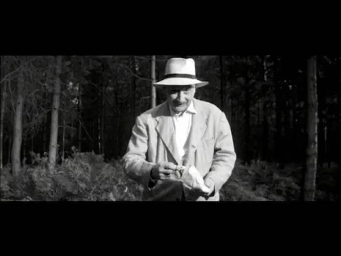 Відео до фільму Never Take Sweets from a Stranger — Brian Trenchard-Smith on NEVER TAKE CANDY FROM A STRANGER