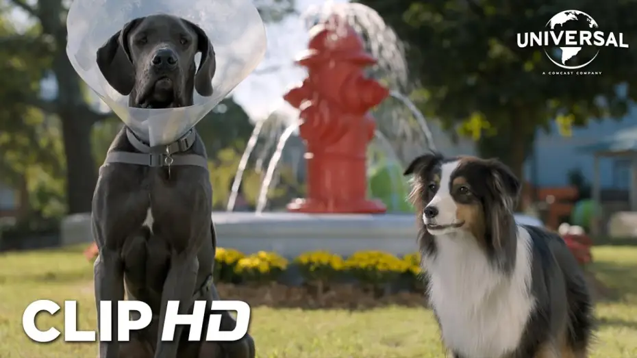 Відео до фільму Кудлаті перці — Clip - Bug y Reggie en el parque