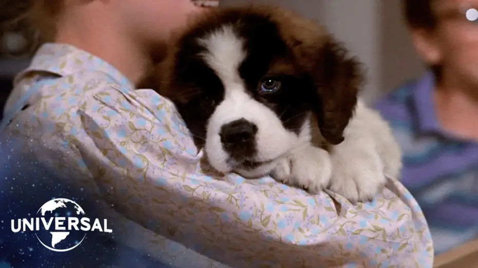 Відео до фільму Бетховен | The St. Bernard&rsquo;s Journey Home