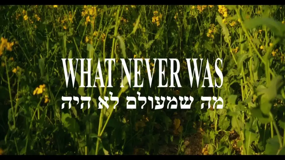 Відео до фільму What Never Was — What Never Was: Trailer