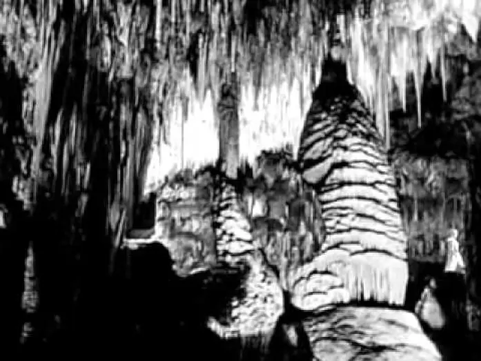 Відео до фільму Earth vs. the Spider | Die Rache der schwarzen Spinne - 1958