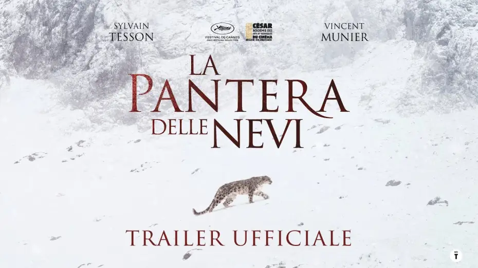 Відео до фільму La Panthère des neiges — La Pantera delle Nevi - dal 20 ottobre al cinema | Trailer ITA