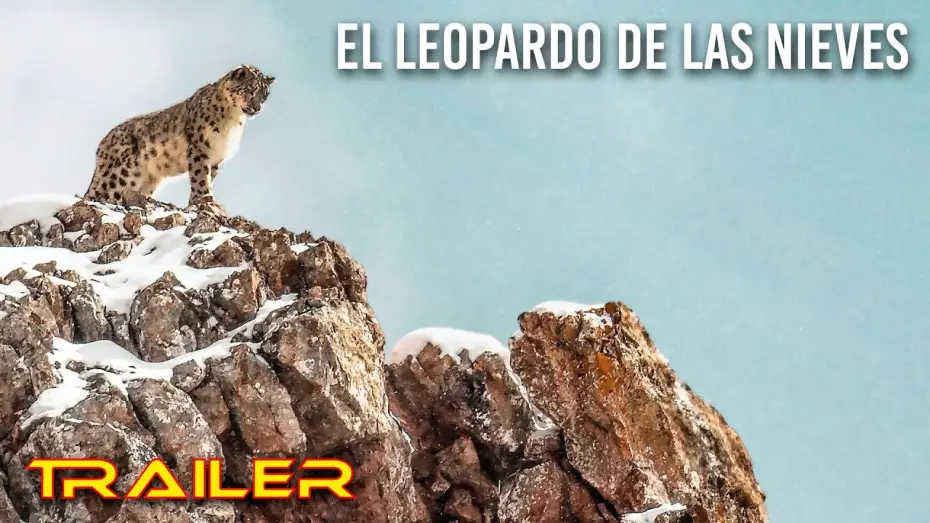 Відео до фільму La Panthère des neiges — El leopardo de las nieves - Tráiler español