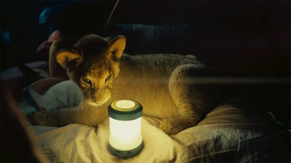 Відео до фільму Король Левеня — King, mi pequeño rey - Trailer español