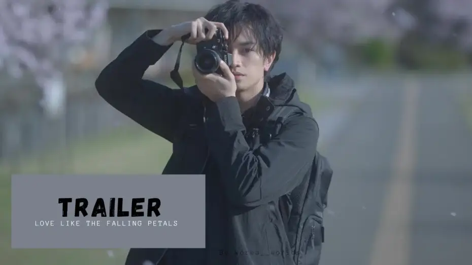 Відео до фільму Моє кохання мов квітка сакури — [VOSTFR] | Love Like the Falling Petals - TRAILER | Japonais Drama| Nakajima Kento, Matsumoto Honoka