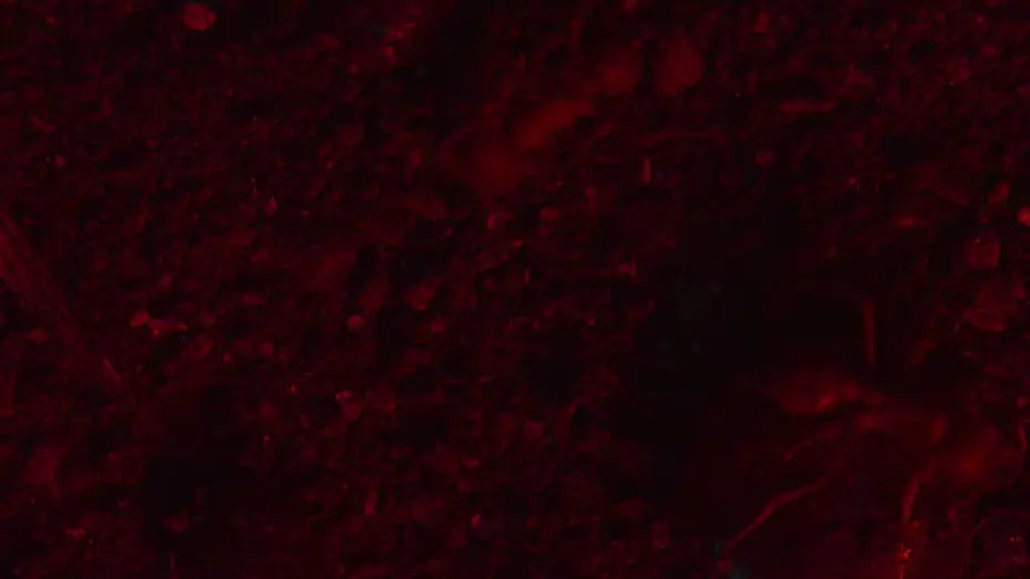 Відео до фільму RESET — RESET Intro Clip