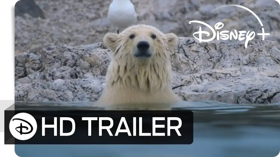 Відео до фільму Polar Bear — Eisbären | Teaser Trailer | Deutsch HD