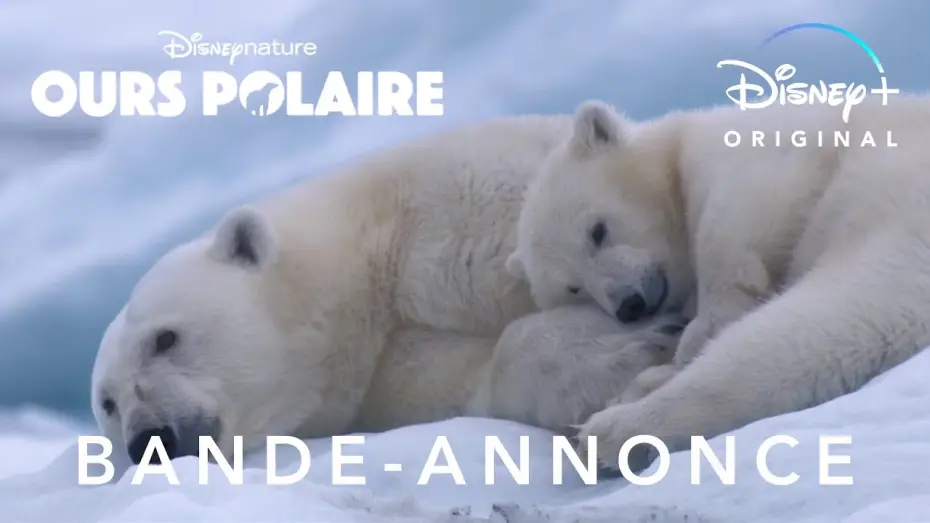 Відео до фільму Polar Bear — Ours polaire - Bande Annonce [VF]