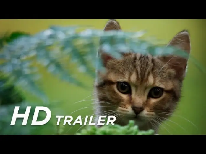 Відео до фільму Котяче життя. Велика пригода Муурр — Offizieller Trailer