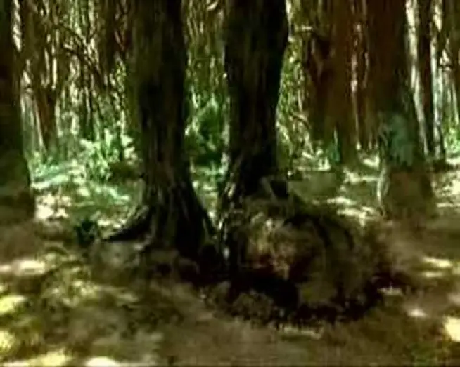 Відео до фільму Міст у Терабітію | Un Ponte Per Terabithia (Trailer Italiano)