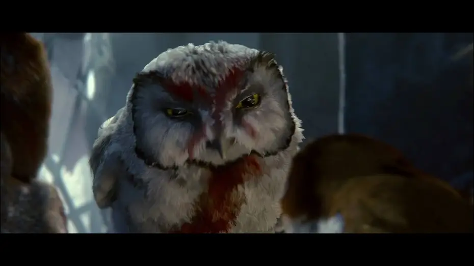 Відео до фільму Легенди нічної варти — Legend of the Guardians: The Owls of Ga'Hoole An IMAX 3D Experience Trailer