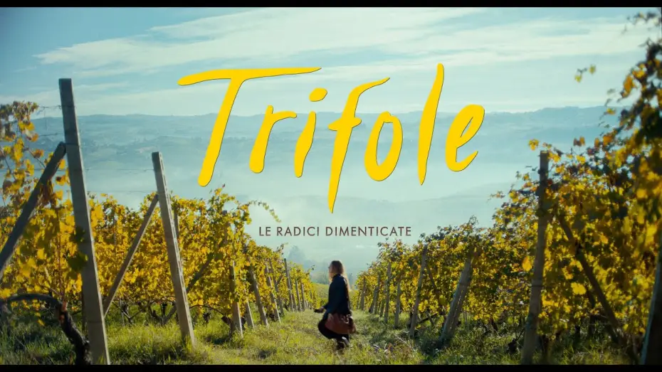 Відео до фільму Trifole | TRIFOLE - Le radici dimenticate - TEASER - dal 17 ottobre al cinema