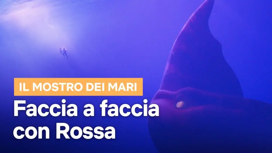 Відео до фільму Морське чудовисько — Faccia a faccia con Rossa
