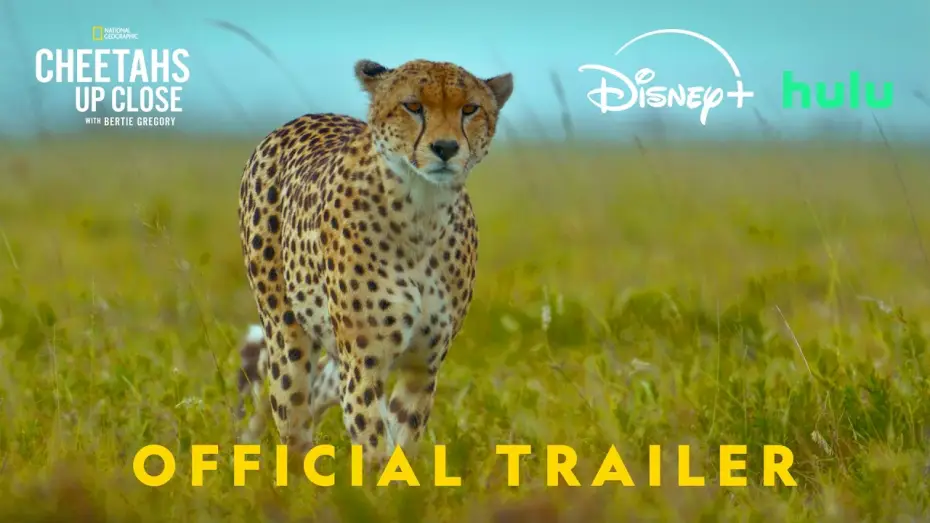 Відео до фільму Cheetahs Up Close with Bertie Gregory | Official Promo