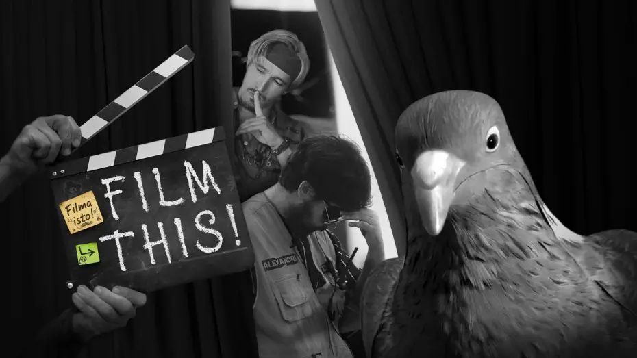 Відео до фільму Filma isto! | Film This! | 4K Full Movie | Original Title: "Filma isto!"