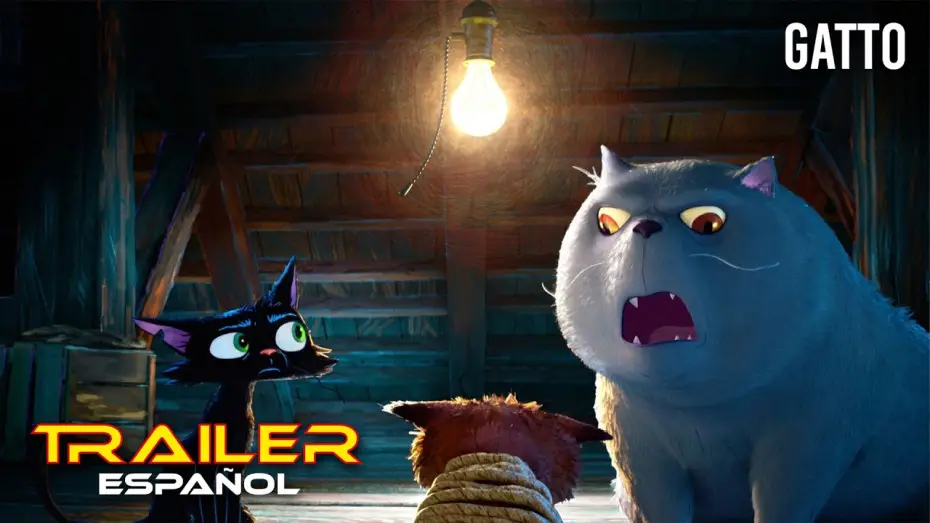 Відео до фільму Ґатто | Gatto - Teaser tr&aacute;iler espa&ntilde;ol