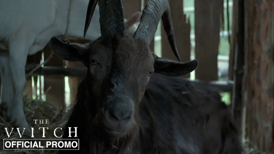 Відео до фільму Відьма | Black Phillip - Official Promo