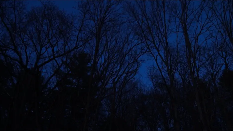 Відео до фільму Hollow Walker of the Lake — Hollow Walker of the Lake