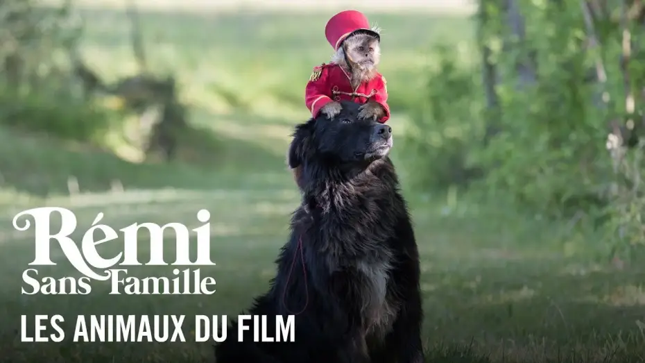 Відео до фільму Пригоди маленького Ремі | Les animaux - R&eacute;mi sans famille