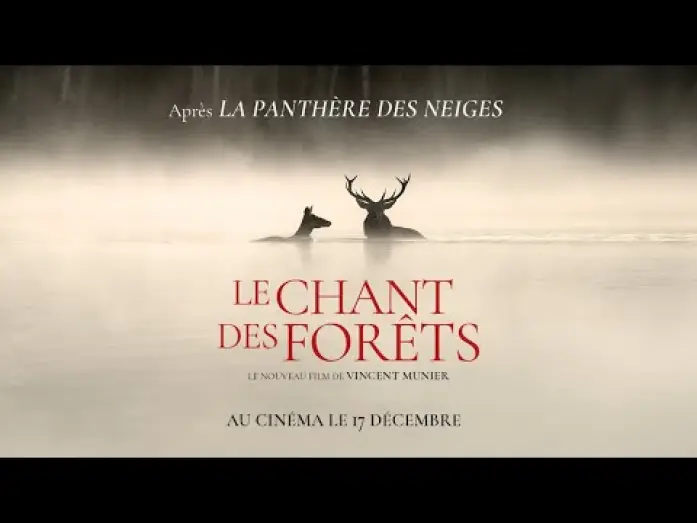 Відео до фільму Le Chant des for&ecirc;ts | LE CHANT DES FOR&Ecirc;TS - Bande-annonce