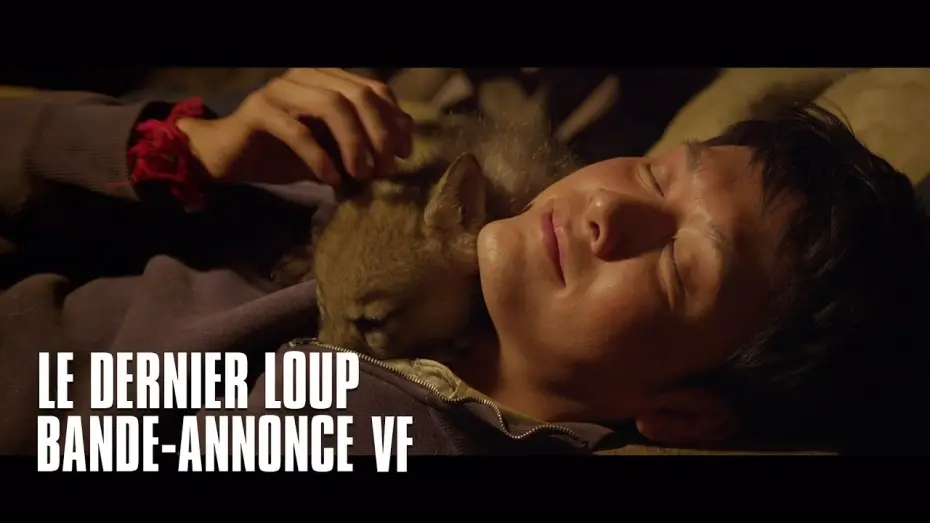 Відео до фільму Тотем вовка | Le dernier loup - bande-annonce VF