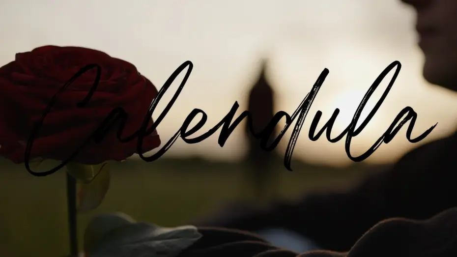 Відео до фільму Calendula — Calendula