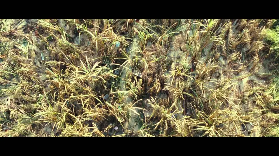 Відео до фільму Неможливе — Bande-annonce VOSTF HD: The Impossible