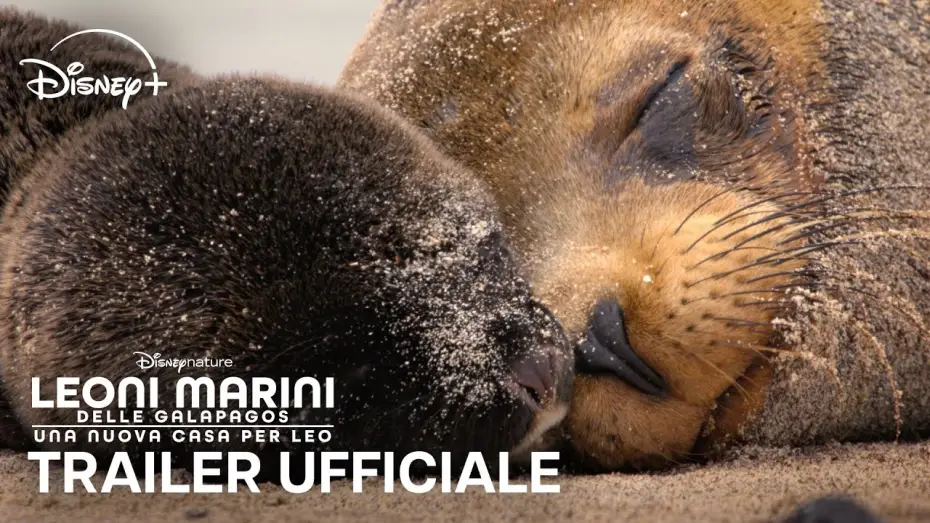 Відео до фільму Sea Lions of the Galapagos — Leoni Marini delle Galapagos | Trailer Ufficiale | Dal 22 Aprile su Disney+