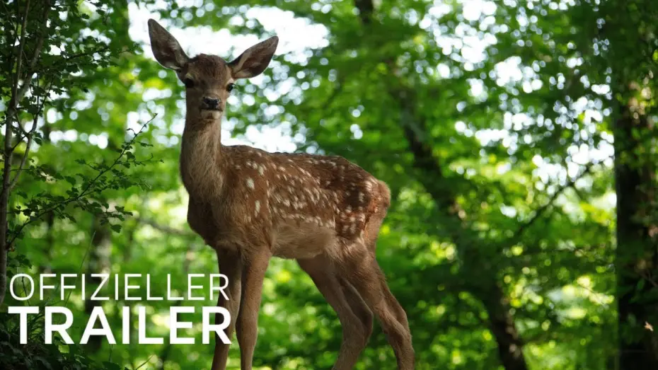 Відео до фільму Bambi, l'histoire d'une vie dans les bois | Bambi - Eine Lebensgeschichte aus dem Walde  | Trailer (Deutsch / German) | 2025