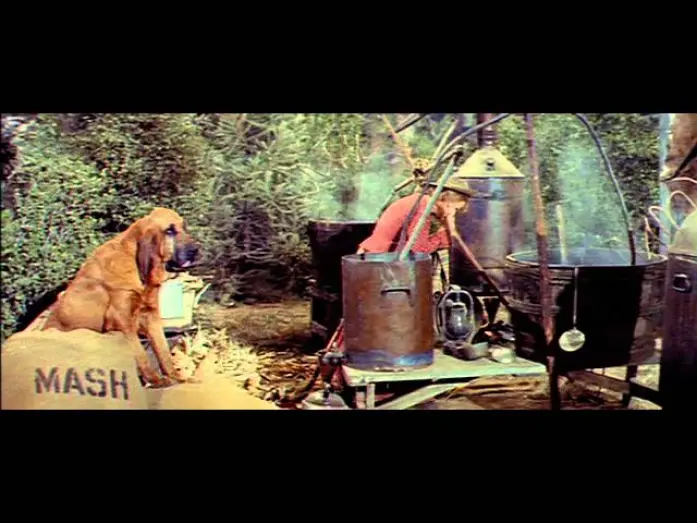 Відео до фільму Kissin' Cousins | Kissin' Cousins (1964)