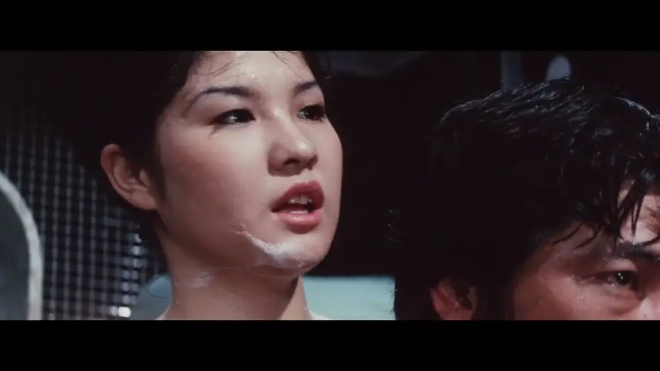 Відео до фільму 牝猫たちの夜 | Night of the Felines (1972) | Trailer | Noboru Tanaka