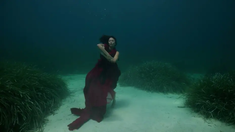 Відео до фільму The Swimming Diaries — The Swimming Diaries Trailer (2024)