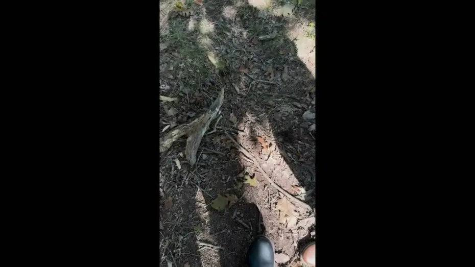 Відео до фільму Don't Look in the Dark | Don't Look in the Dark - Trailer