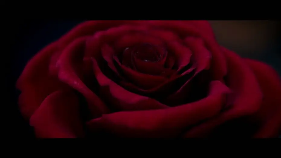 Відео до фільму Красуня і Чудовисько | Bande-annonce 1 VOST